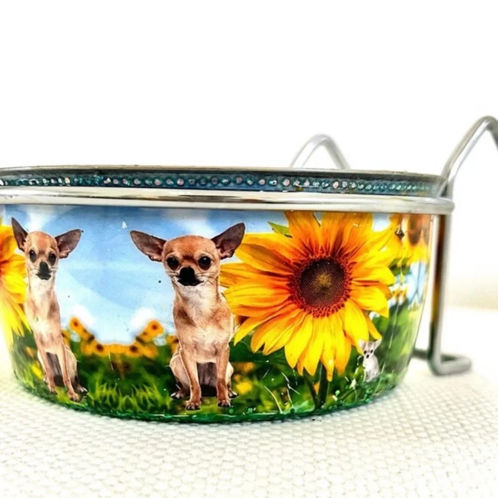 Dog bowl with hooks